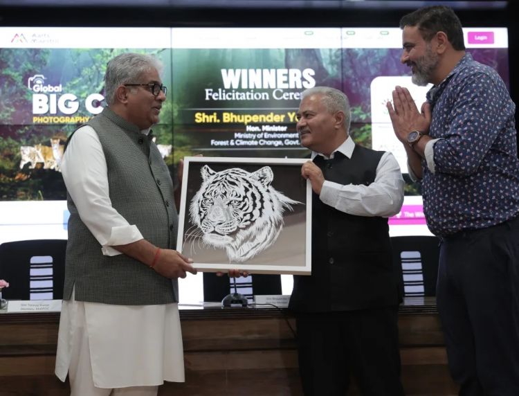 日本剪纸师曝作品被印度人抄袭!官方求助无果,之前还被人嘲讽“水平不行”… 日本剪纸师曝作品被印度人抄袭!官方求助无果,之前还被人嘲讽“水平不行”…