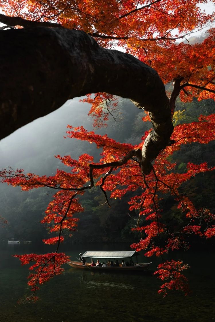 第266期:日本GDP增速下调?永野芽郁将复出?日本多所大学拟上调留学生学费?日本再发大地震;AKB48举行20周年演唱会 | 百通板 第266期:日本GDP增速下调?永野芽郁将复出?日本多所大学拟上调留学生学费?日本再发大地震;AKB48举行20周年演唱会 | 百通板